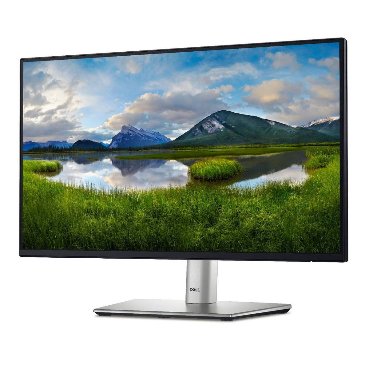 Dell P2422H 23.8 Inch FHD 1920x1080 at 60Hz 5MS IPS TFT LED