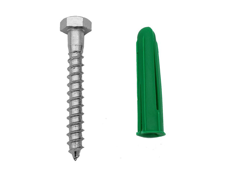 Coach Screws And Plugs-0